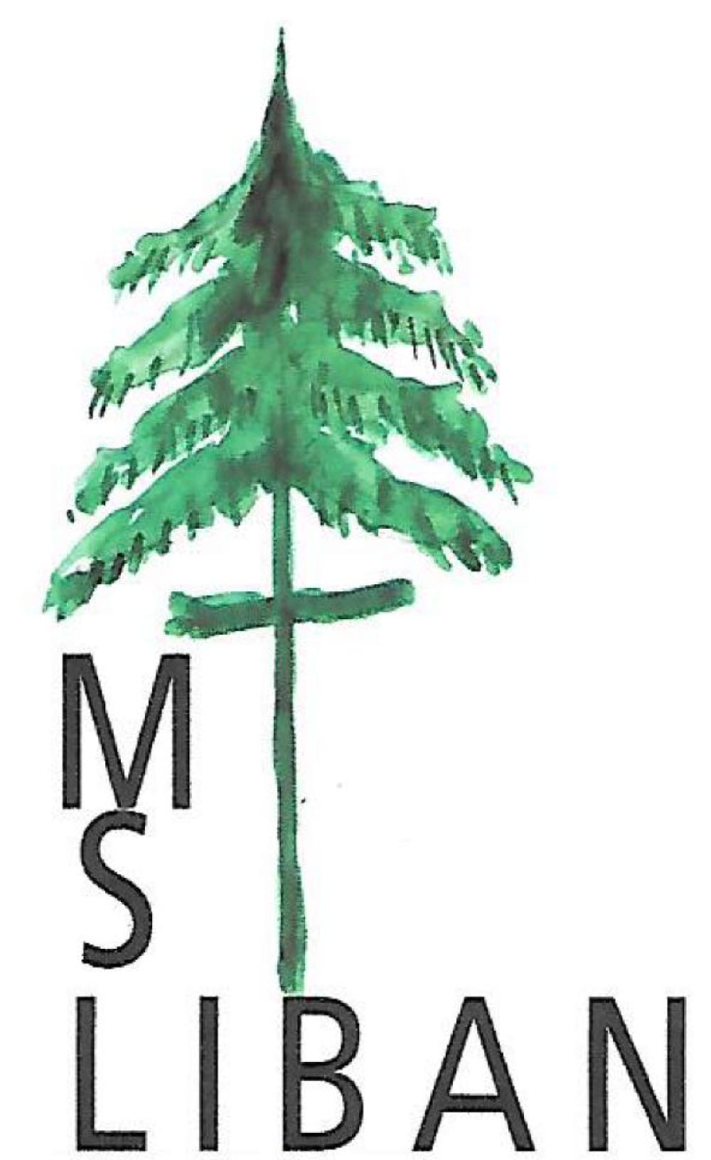 Missions Solidarité Liban